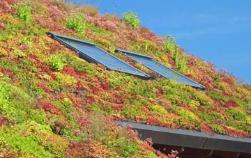 Old Bolingbroke living roof systems