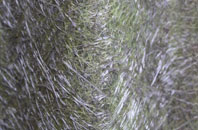 Old Bolingbroke fibreglass roof work